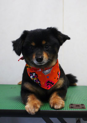 仮屋崎リュウちゃん