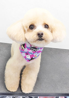 辻チロルちゃん