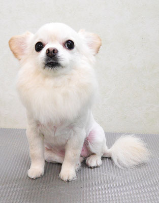 森崎ヒメちゃん