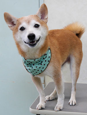 有馬コタロウちゃん