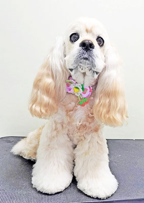 福富ベリーちゃん