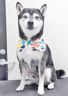 岩﨑レイちゃん