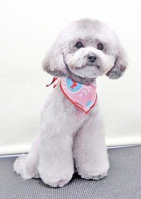 宮元まるちゃん