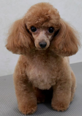 森崎ネネちゃん