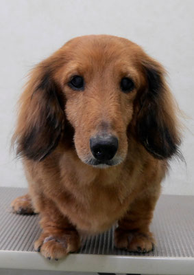 下唐湊モモちゃん