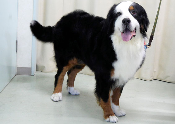 重野エドちゃん