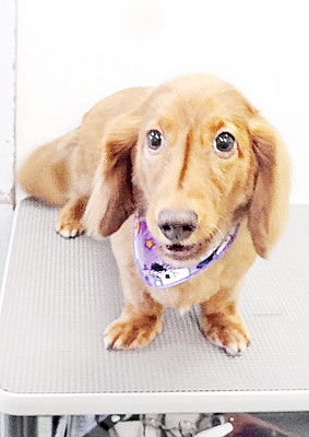 上栗ウリちゃん