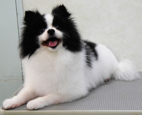 森崎マリアンちゃん