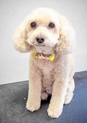 長谷ネネちゃん