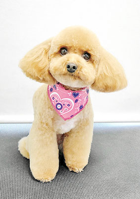 田淵マロンちゃん