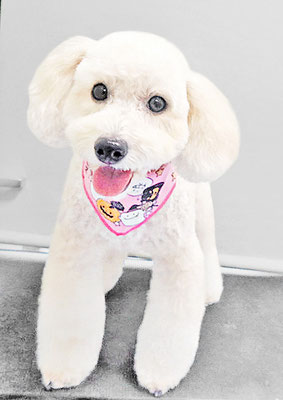 長谷ラナちゃん