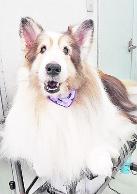 前野レオンちゃん