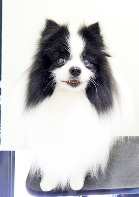 八木マリアンちゃん