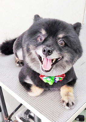 福山ポパイちゃん