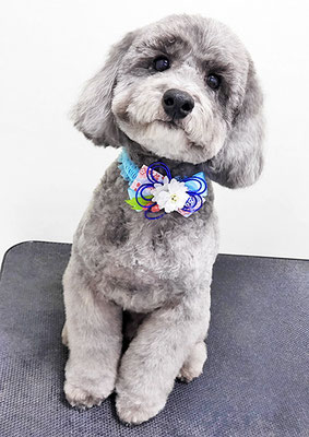 橋口最中ちゃん