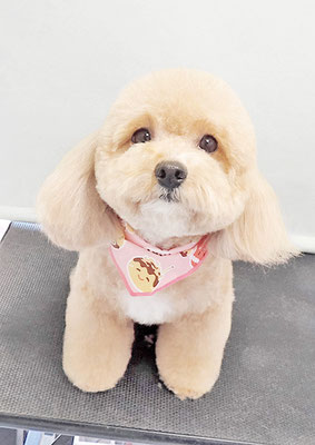 丸山小琴ちゃん