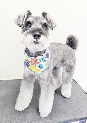 糸山そらちゃん