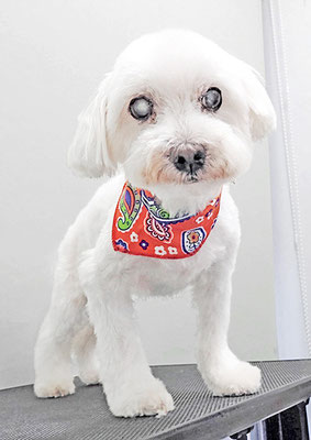 山口ふうたちゃん