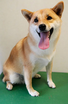 森崎アズキちゃん