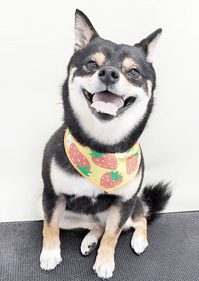 中尾あんずちゃん