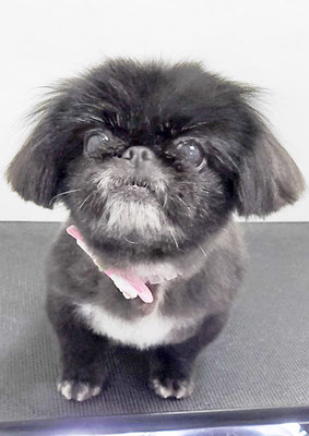 満留みりぃーちゃん