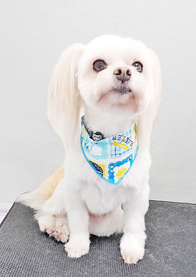 大脇ココアちゃん