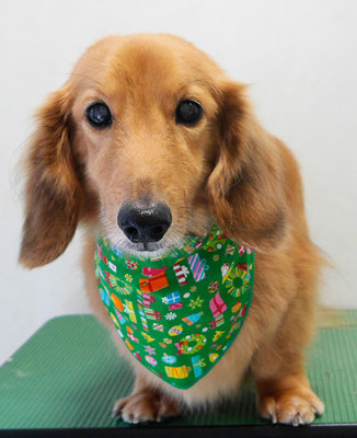 﨑戸ジュリアちゃん