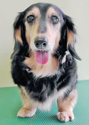 湯田モモちゃん