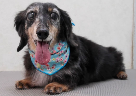 西山ユウちゃん