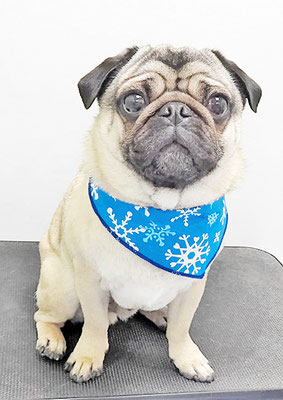 田邊ギンちゃん