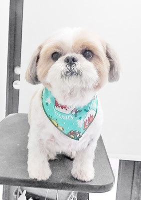 並木ランちゃん