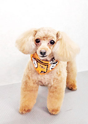 森崎ネネちゃん