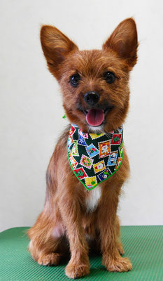 助村ルウちゃん