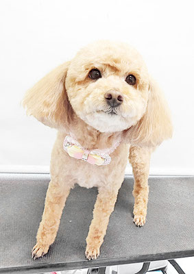 富永モカちゃん