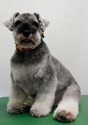 古閑ランちゃん