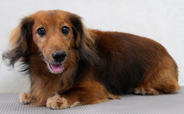 中塚チャロンちゃん