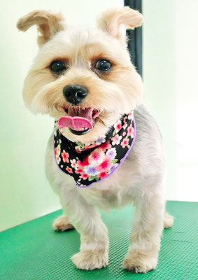 山下レオちゃん