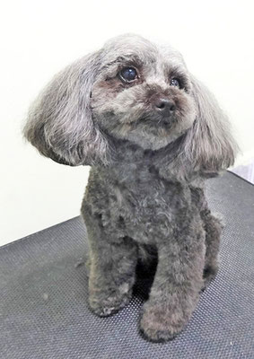 森崎ラブちゃん