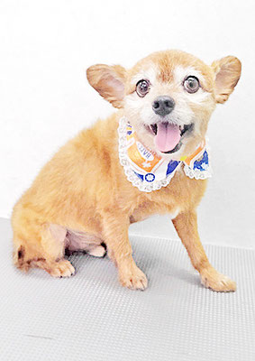 助村ルウちゃん