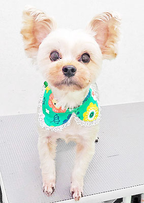 源川源之介ちゃん