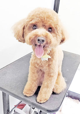 大山弦之介ちゃん