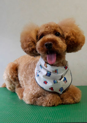 山元風介ちゃん