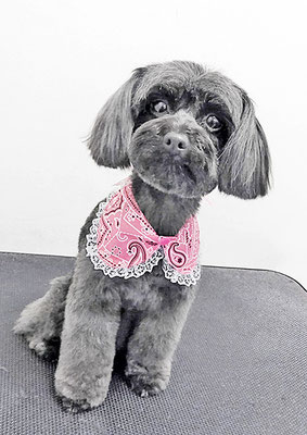 木原シェルちゃん