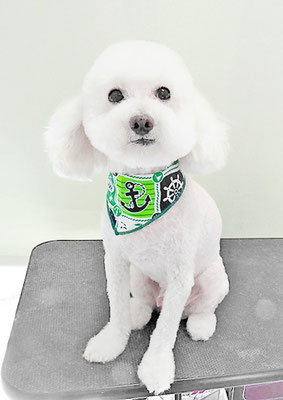 嶽本ムムちゃん