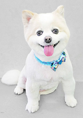 建山ギガちゃん