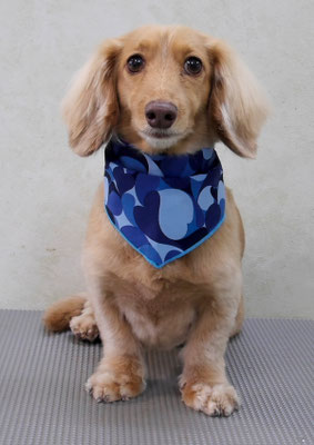 片山マルルちゃん