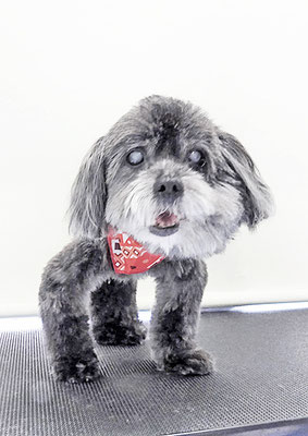 八郷ベンちゃん