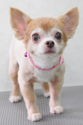 江上ベベちゃん