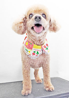 本田ゆめちゃん