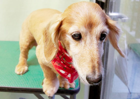 中山ジンちゃん